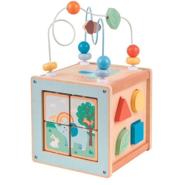 Lelin Forest Activity Cube