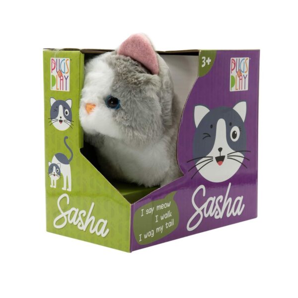 Pugs At Play - Sasha Walking Cat