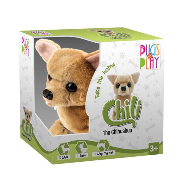 Pugs At Play - Chili Walking Dog