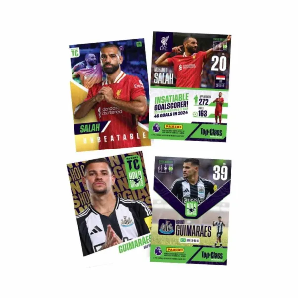 Panini EPL Top Class 2025 Starter Pack, 023138