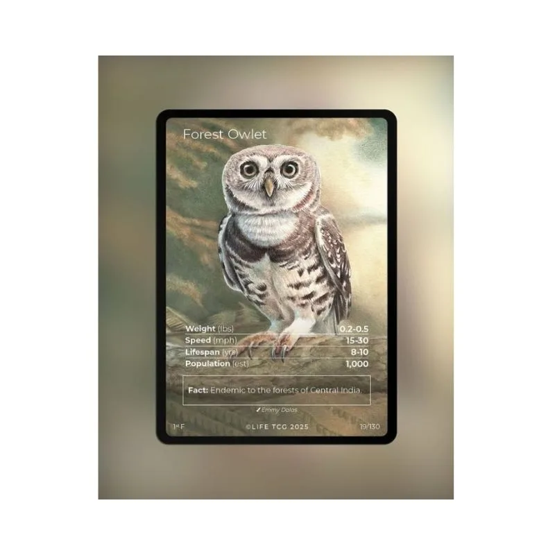 Life TCG Booster Box featuring Birds 1st Edition trading cards, showcasing vibrant artwork and collectible card designs