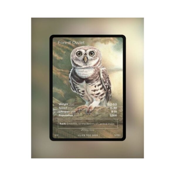 Life TCG Mini Box featuring Birds 1st Edition, showcasing colorful bird illustrations and game card designs