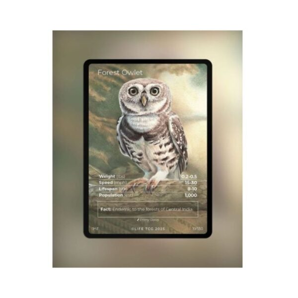 Life TCG Starter Booster Pack featuring Birds, 1st Edition trading cards, showcasing colorful bird illustrations