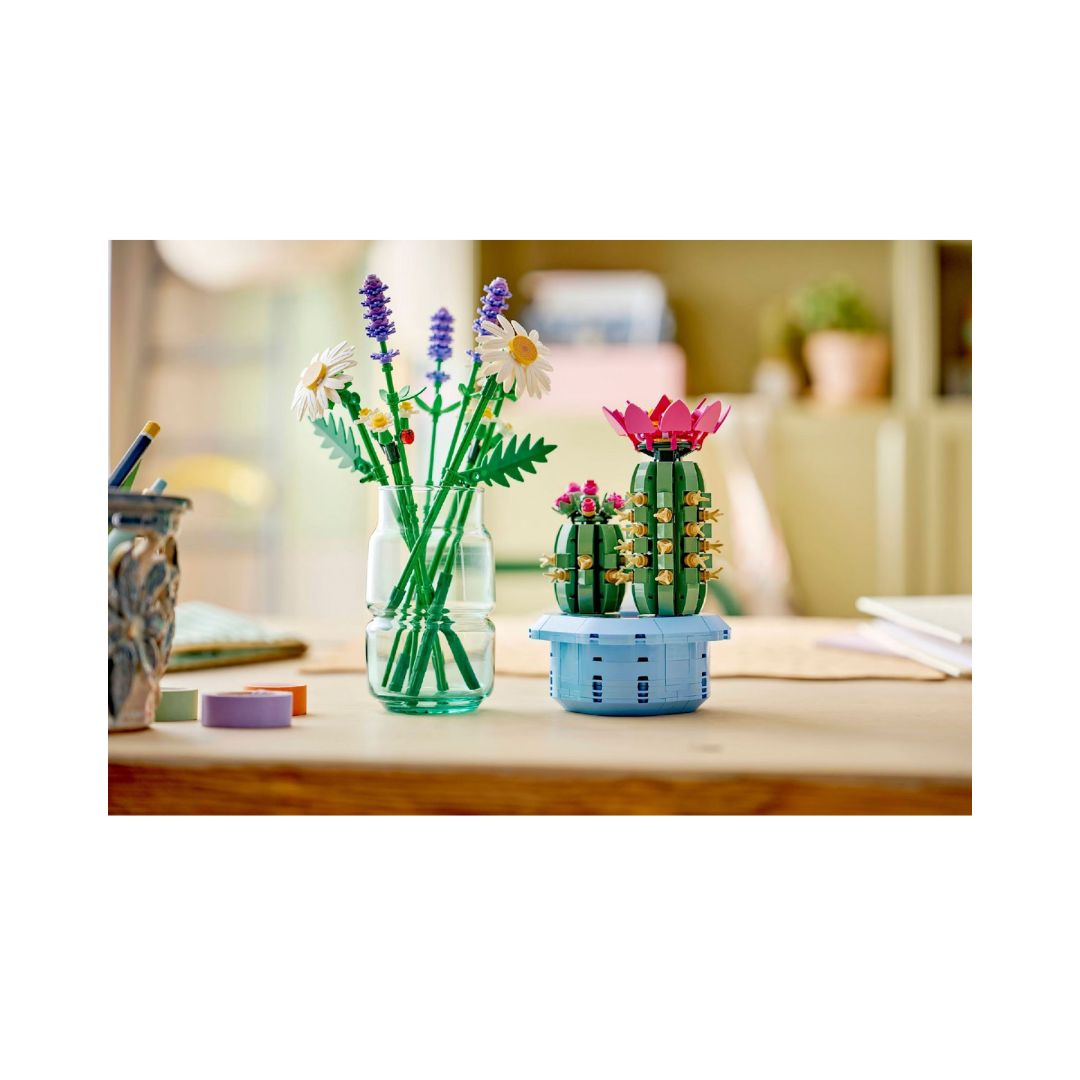 11509 Botanicals – 10