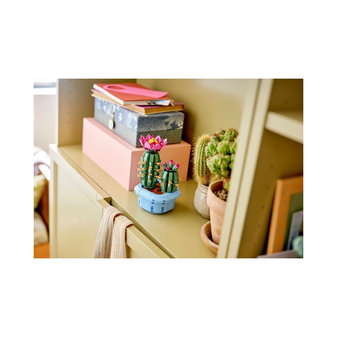 11509 Botanicals – 8