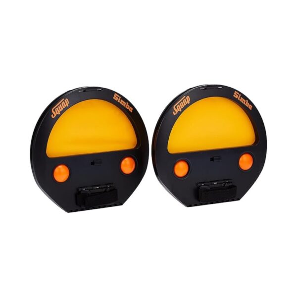 Simba, a lion cub, leaps to catch a ball in a playful game.